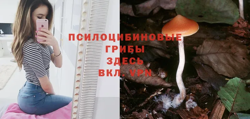 Галлюциногенные грибы Psilocybine cubensis  Нариманов 